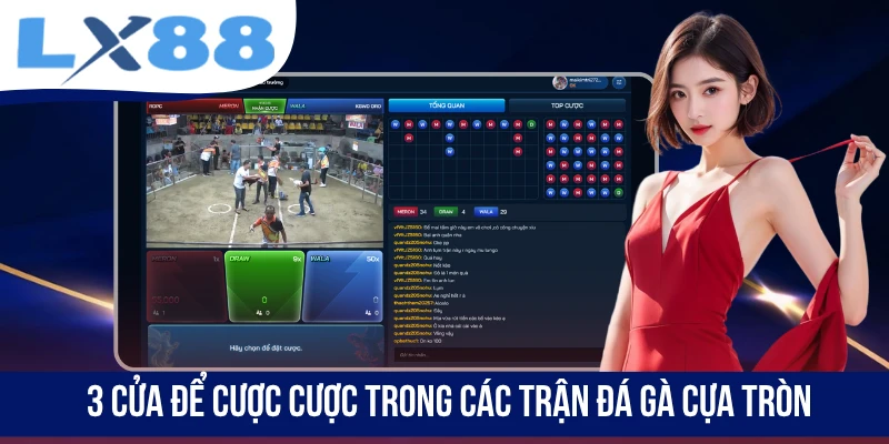 3 cửa để cược cược trong các trận đá gà cựa tròn