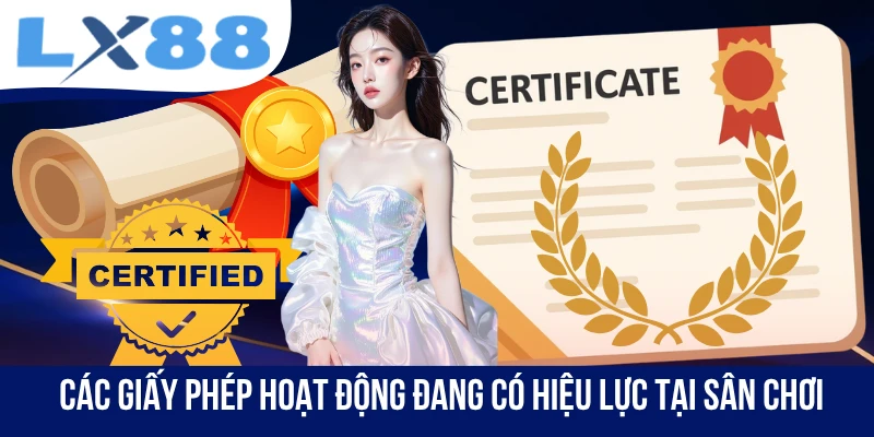 Các giấy phép hoạt động đang có hiệu lực tại sân chơi